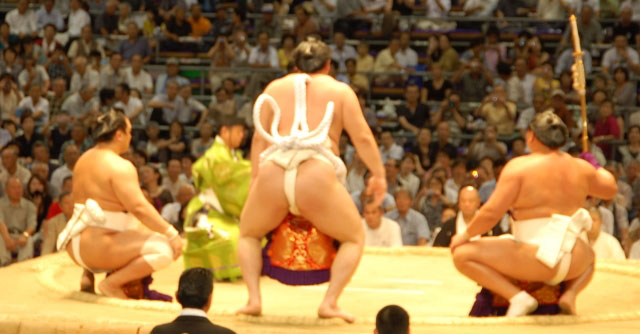相撲写真